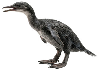Fototapeta premium realistic hesperornis (hesperornis regalis) isolated on transparent background