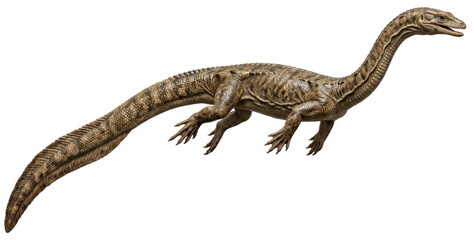 Naklejka premium realistic hyphalosaurus (hyphalosaurus lingyuanensis) isolated on transparent background