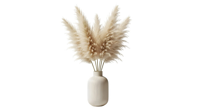 Dried Pampas Grass in Vase, nobody, indoor, minimalist