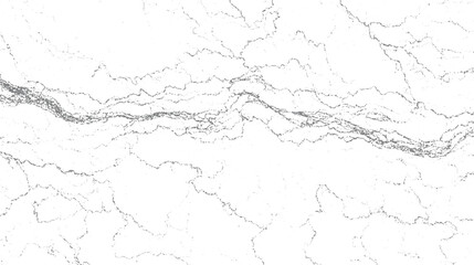Fototapeta premium Abstract grey organic lines and dots on white background resembling natural patterns