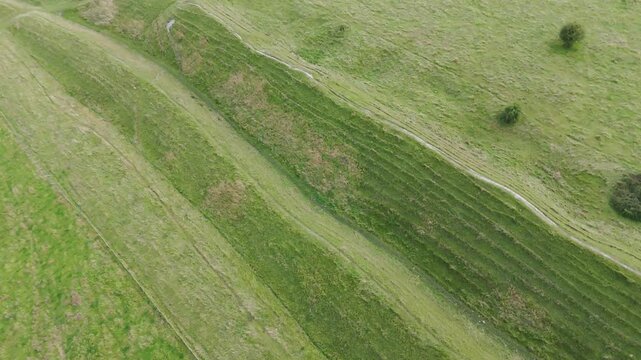4K top-down aerial shot of patterns and ancient earthworks lines.