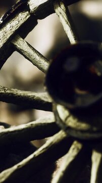 A worn wooden wheel with numerous spokes rests on a rustic surface. Sunlight highlights the details of the wheel. The scene shows a simple, timeless object crafted from wood.