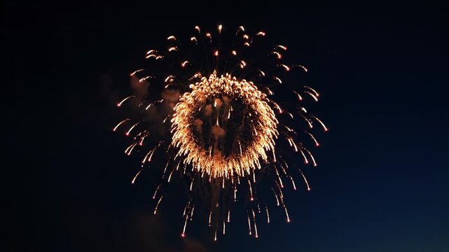 A vibrant, exploding pyrotechnic display against a deep night sky backdrop