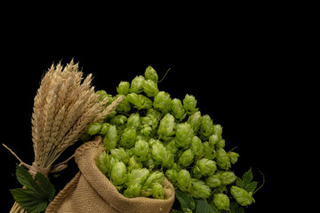 Fototapeta premium Beer brewing ingredients, hops, a sheaf of wheat ears, and grains in the linen sack on a black textured surface. Brewery concept background. Hop cones and the wheat close-up. Flat lay.