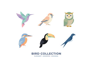 Fototapeta premium Colorful minimal bird collection illustration