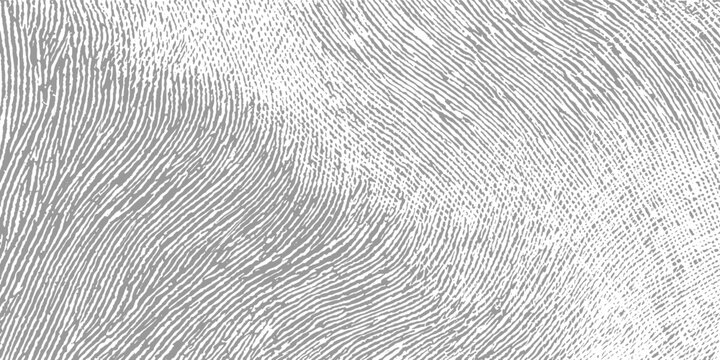 Close up macro texture of grey fingerprint ridges and valleys