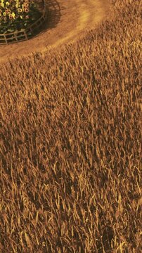 Wheat fields stretch across the land with a round arrangement of flowers at one side. The sun sets, casting warm light over the scene as golden tones fill the sky.