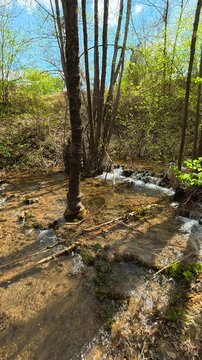Sunlight filters through branches. Bigar Waterfall, Serbia. Vertical