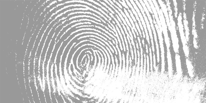 Close up of a grey fingerprint with white ridges and a textured background thumbprint identity security