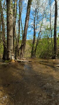 Clear stream winds through tall. Bigar Waterfall, Serbia. Vertical