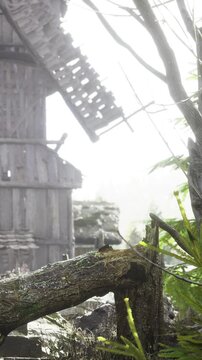 A windmill stands near a forest where trees grow tall. Mist covers the area as dawn breaks. Sunlight filters through the branches, creating a soft light among the leaves.