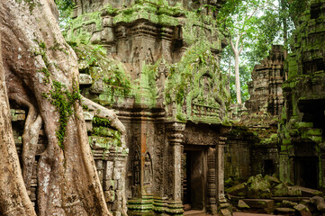 Naklejka premium Angkor Wat - Ta Prohm