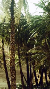 Palm trees are tall and lush, moving gently in the wind under bright sunlight. The background shows more trees and natural scenery, creating a vibrant atmosphere.