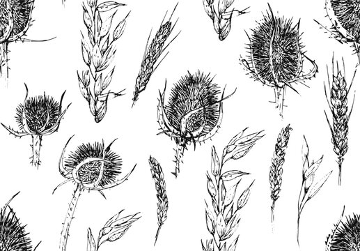 Patr&oacute;n vectorizado de flores de l&iacute;nea negras sobre fondo blanco, cardos y espigas, flores secas, ilustraci&oacute;n de l&iacute;nea en blanco y negro