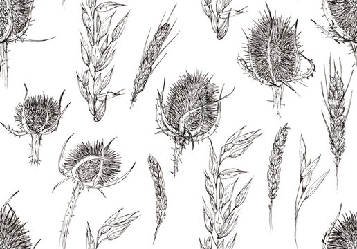 Patr&oacute;n hecho a mano de flores de l&iacute;nea negras sobre fondo blanco, cardos y espigas, flores secas, ilustraci&oacute;n de l&iacute;nea en blanco y negro realizada con boligrafo