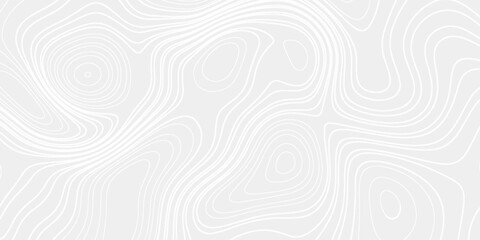 Black and white Topographic map like abstract backdrop. Fractal lines, organic pattern print, Seamless earth line, Wavy lines shaped like the contours of the land, geographic grid map, mountain, area. © ibrahim