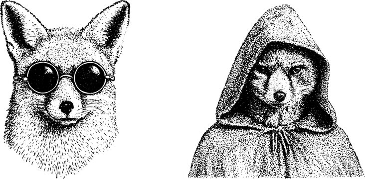 Fox wearing round glasses and hooded fox figure on white