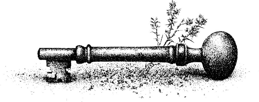 Antique key resting on dusty ground beside small plant