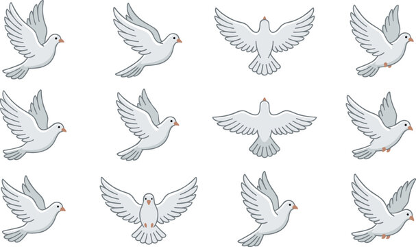 White dove flying vector set collection with flying birds in different angles and poses for peace hope wedding design elements isolated on white background