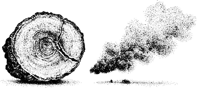 Tree cross section log with distant smoke plume on white background