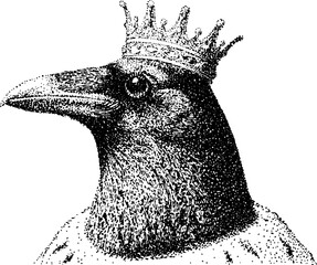 Fototapeta premium Raven wearing crown closeup detailed stipple portrait on white