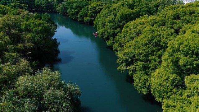  Lago de Cam&eacute;cuaro en Michoac&aacute;n desde vista de drone