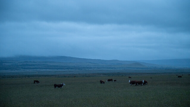 Paisaje Patagonico