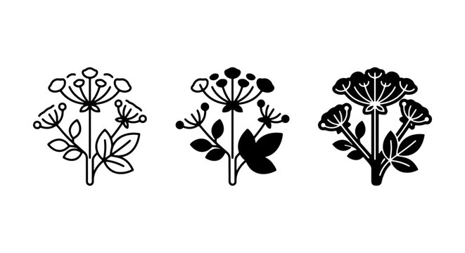 Botanical Vector Icons: Dill, Fennel, Parsley Plant Silhouettes, Herb Illustrations