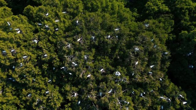  Lago de Cam&eacute;cuaro en Michoac&aacute;n desde vista de drone