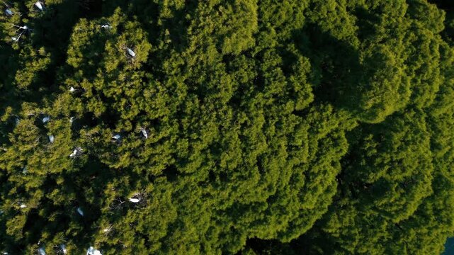  Lago de Cam&eacute;cuaro en Michoac&aacute;n desde vista de drone