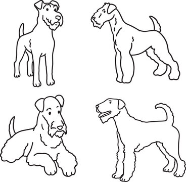Airedale Terrier line art illustration wiry coat dog doodle elegant hunting breed contour drawing minimalist black outline clipart for grooming salon veterinary pet branding coloring pages mascot logo
