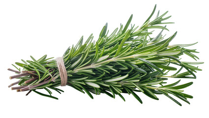 Fresh green rosemary herb tied with twine, isolated on transparent background © Elena