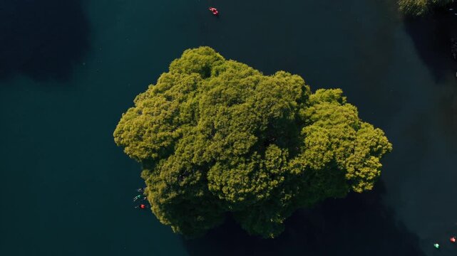  Lago de Cam&eacute;cuaro en Michoac&aacute;n desde vista de drone