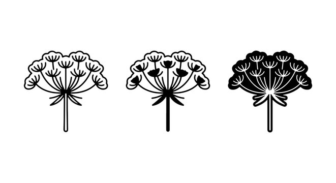 Umbrella Flower Icons, Wild Parsnip Vector Set, Botanical Outline Graphics