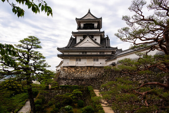 Kochi Castle. Castle tower (Kochi City, Kochi Prefecture)