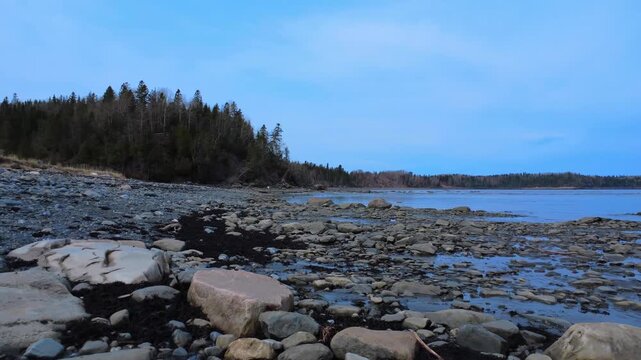 Drone footage of a rocky coastal shoreline at low tide with scattered seaweed patches and dense boreal forest in Baie Mitis, Gasp&eacute;sie, Quebec, Canada.