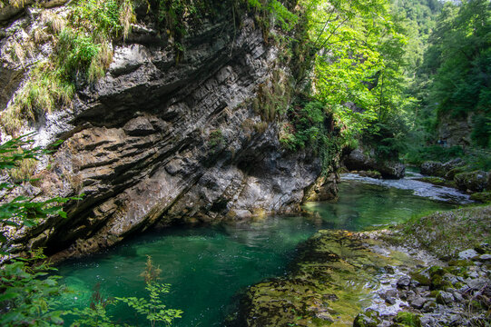 Vintgar gorge amazing cayon with river, rocks and nature, wooden foodpaths leads through wild natural reserve