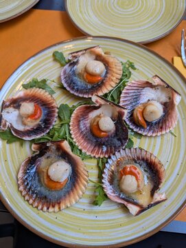 fresh seafood