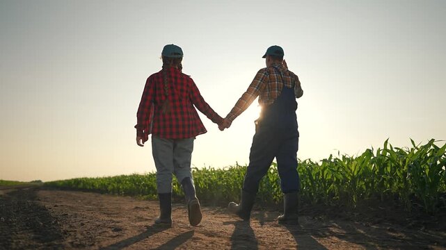 Couple farmer and woman hold hand on field path. Sun shines through hands. Walking by corn rows in boots. Sunset lights up field. Farmer woman together enjoy walk on dusty path holding hands.