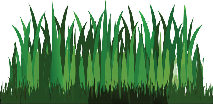 Realistic Green Grass Border Vector Set Isolated on Transparent Background