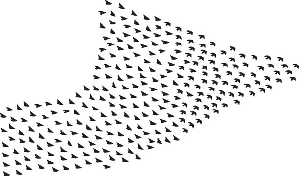 A large flock of birds flying in a triangular formation against an isolated white background