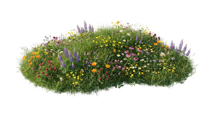 Lush meadow with colorful wildflowers and green grass isolated on transparent background © LABONI