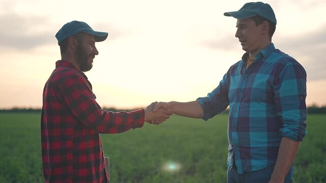 Farmer handshake field builds trust partnership. Man handshake shows agreement under sunset. Business grows trust handshake making farmer success field teamwork. Agreement handshake means partnership.