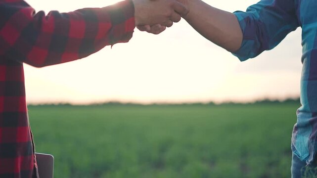 Close farmer handshake agreement field. Man trusts business with handshake. Partnership grows crops at sunset. Farmer handshake means strong agreement. Man builds trust in partnership field.