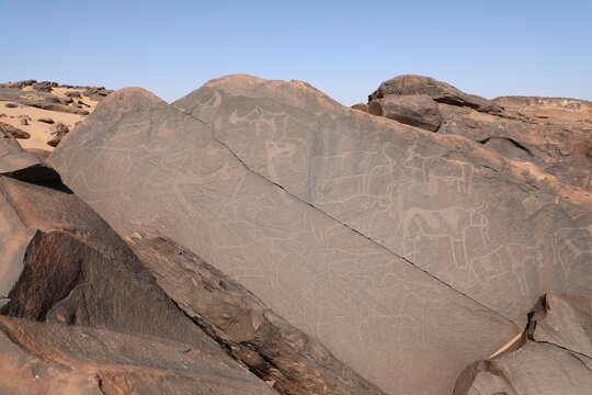 Ancient Prehistoric Rock Petroglyphs Animal Engravings Sahara Morocco
