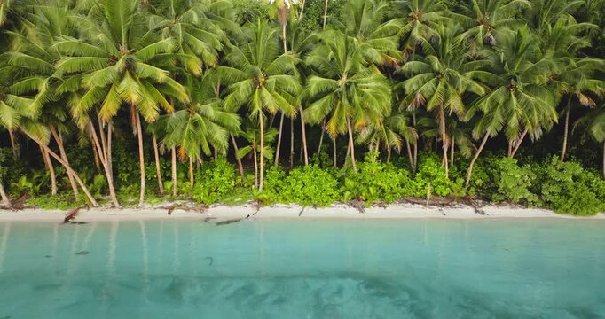 Pristine white sand beach, lush green palm trees, crystal clear turquoise water of remote tropical island, serene and idyllic island paradise landscape. Natural background. Aerial view drone shot