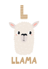 Fototapeta premium Cute llama face, letter L, text, illustration isolated. ABC card, cartoon animal character. Kids English alphabet, preschool, school learning. Hand drawn flat vector clip art, design element