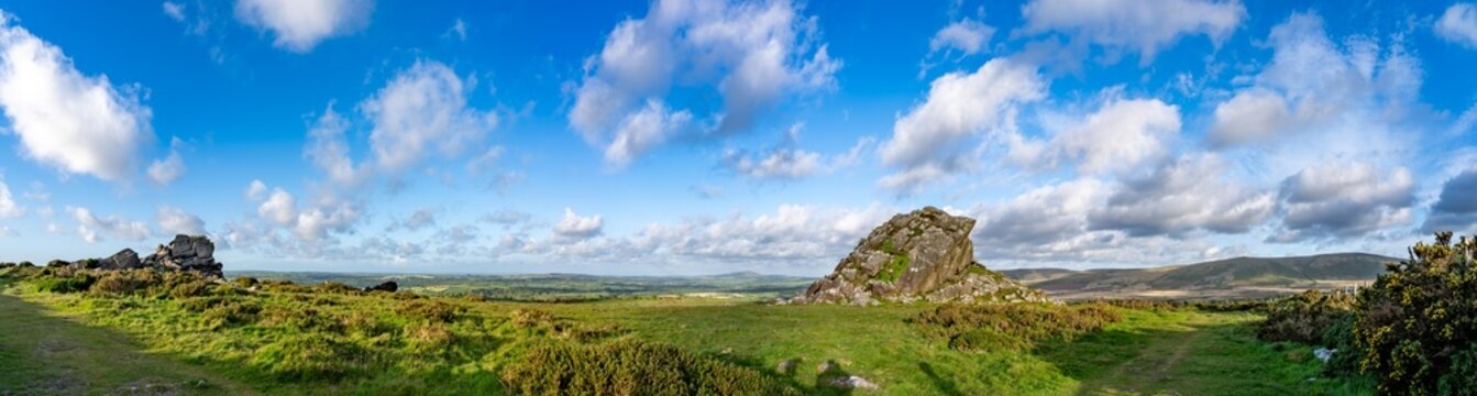 Views around Coed ty canol - national nature reserve and ancient woodland
