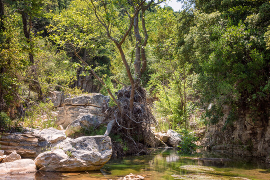 Beautiful scenery on the mountain in Pelion, central Greece