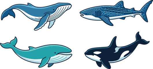 Marine Animal Vector Illustration Set with Humpback Whale, Whale Shark, Orca Killer Whale, and Blue Whale Icons for Nature Education and Sea Life Designs © Sajjad